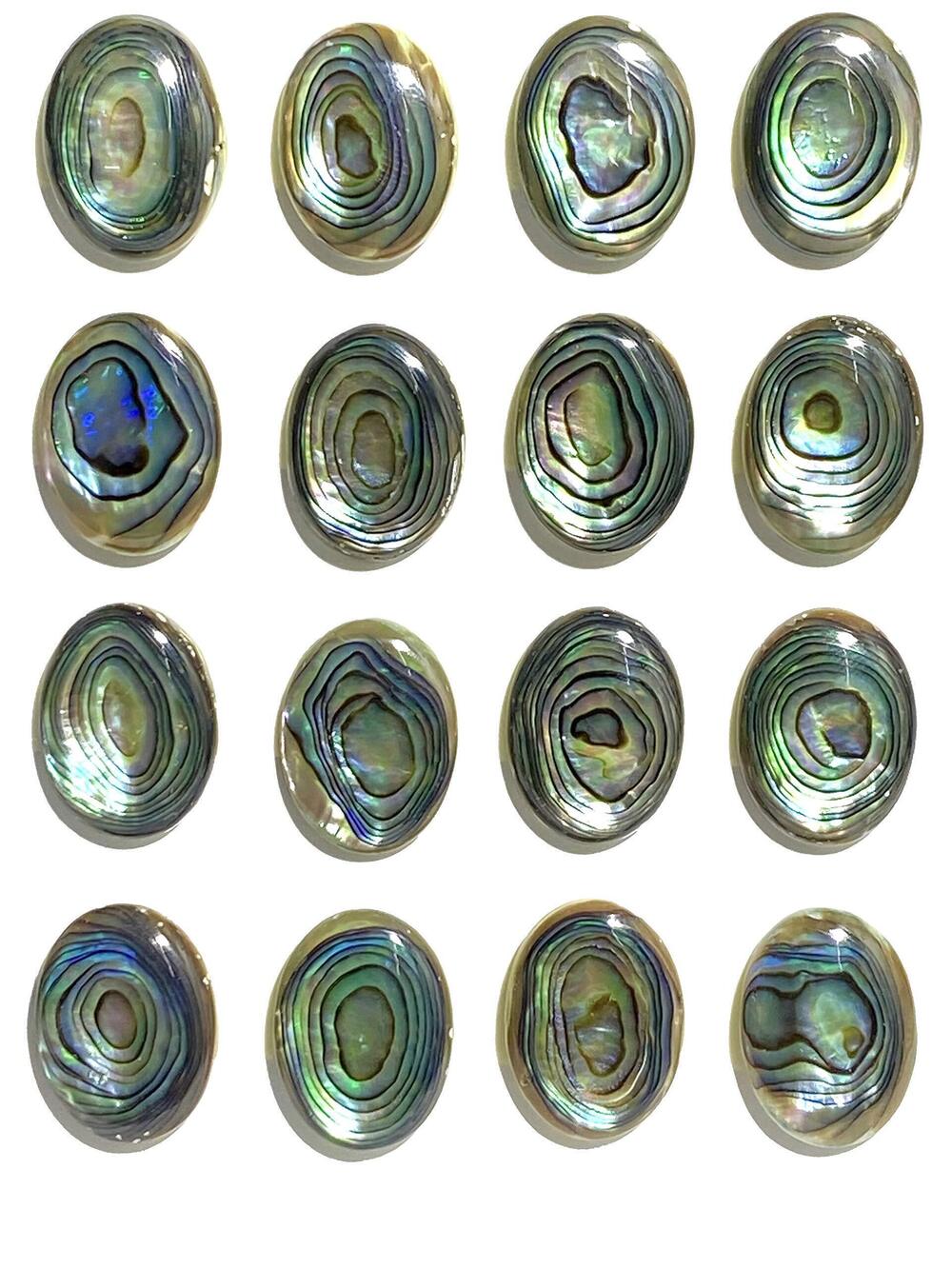 7494 [ABCgems] GemQuality New Zealand Abalone Shell Gorgeous Thick Nacre